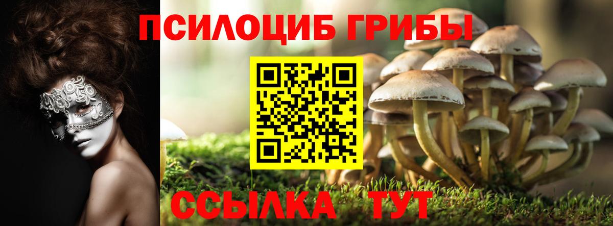 Чусовой  Псилоцибиновые грибы Psilocybine cubensis  Галлюциногенные грибы мухоморы  Вход с VPN 